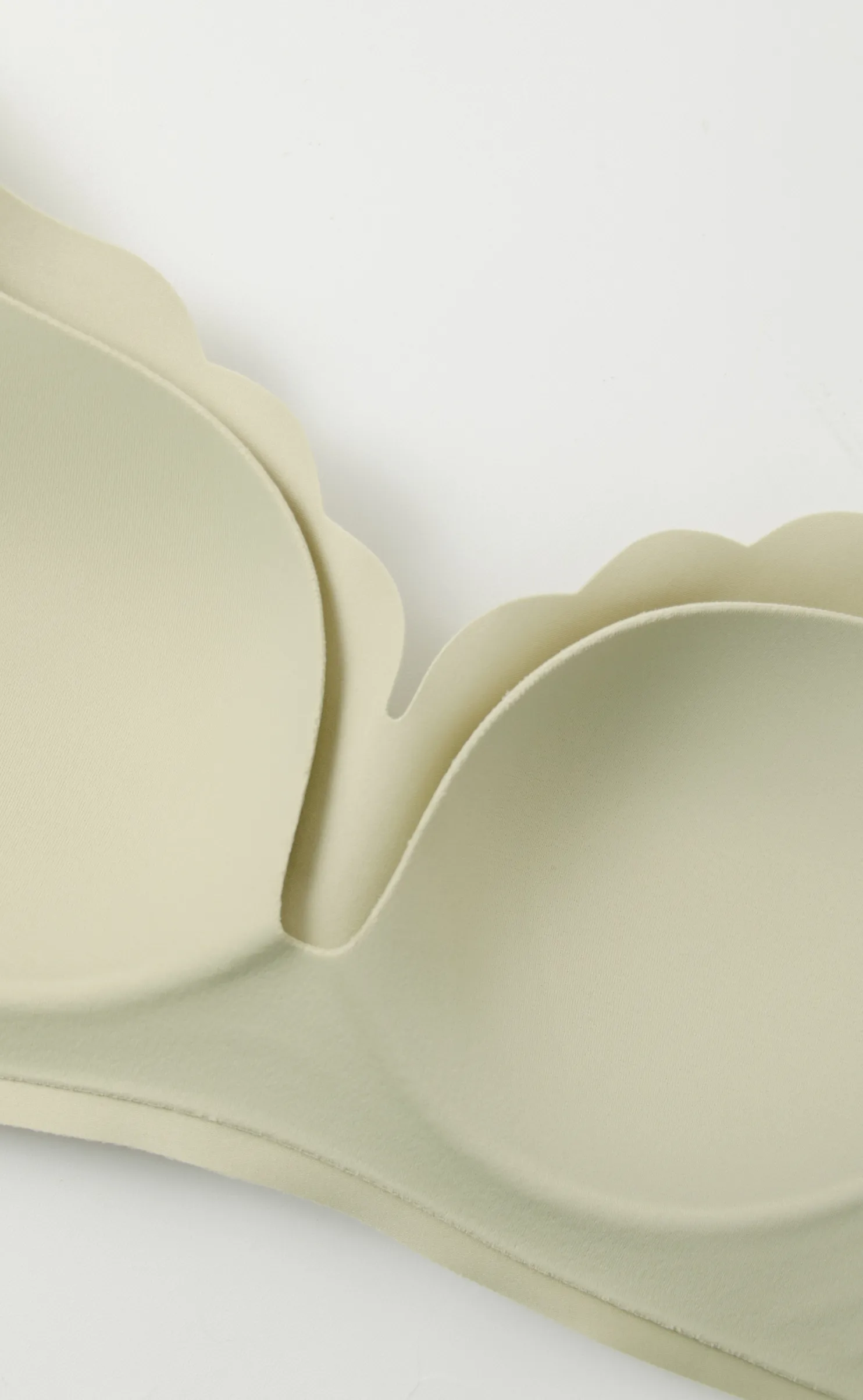 Curvy Core • Push-up Shaping Seamless Bra